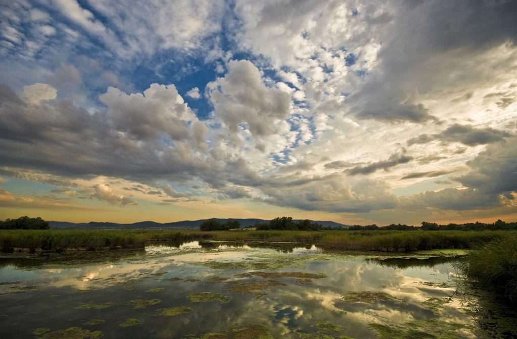 Las Tablas de Daimiel