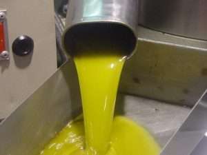 aceite-oliva-extraccion