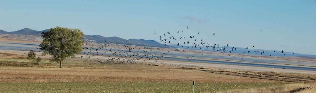 laguna-gallocanta