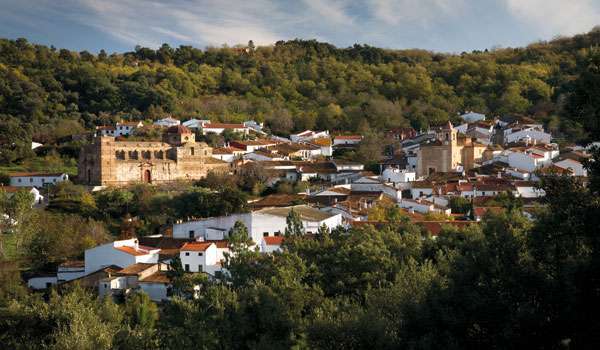 castaño-de-robledo