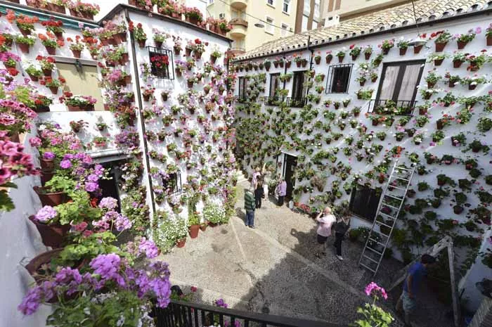 patios-de-cordoba-casa-patio-vecinos